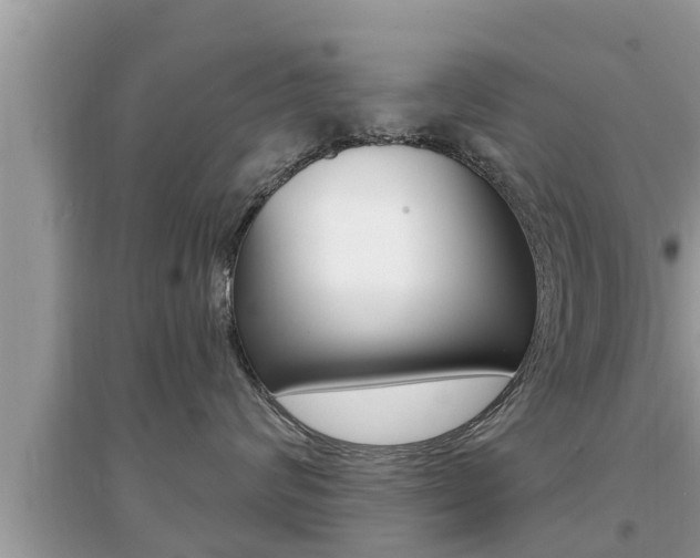 X0000095110624200712070921