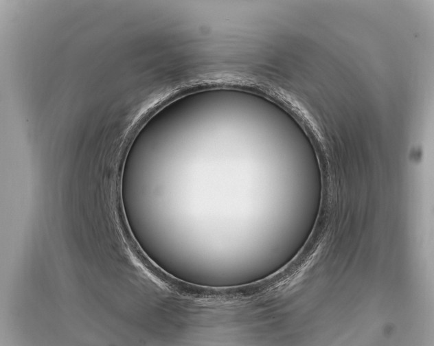 X0000095110625200712070920