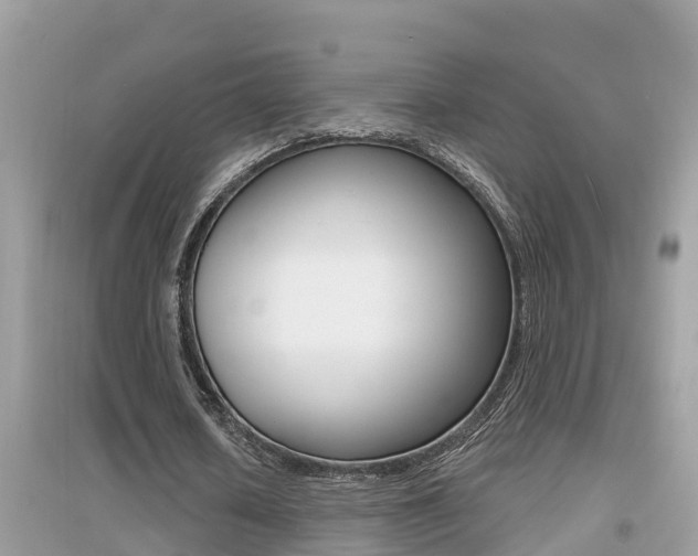 X0000095110626200712070920