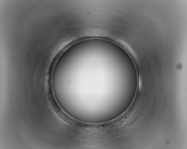 X0000095110627200712070920