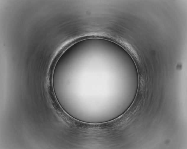 X0000095110628200712070920