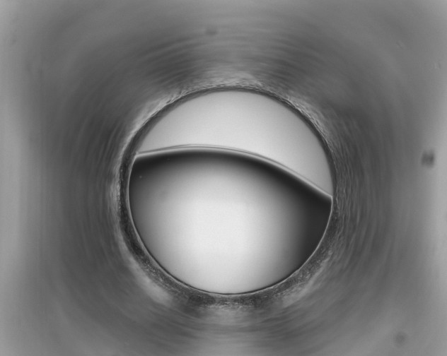 X0000095110630200712070920