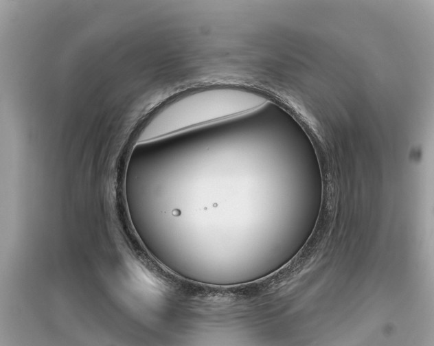 X0000095110631200712070920