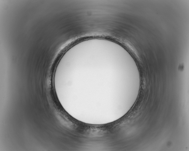 X0000095110632200712070920