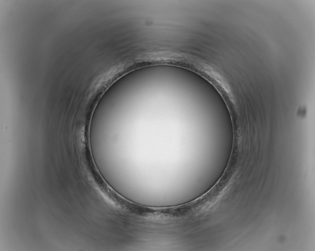 X0000095110633200712070920