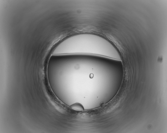 X0000095110634200712070920