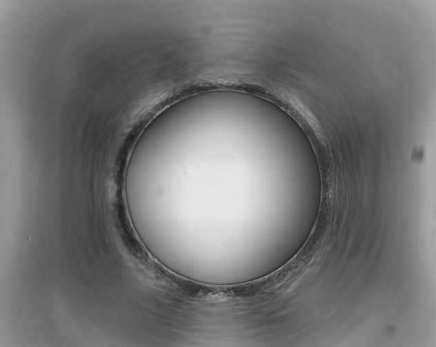 X0000095110635200712070920
