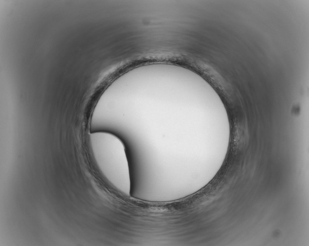 X0000095110636200712070920