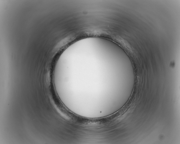 X0000095110638200712070920