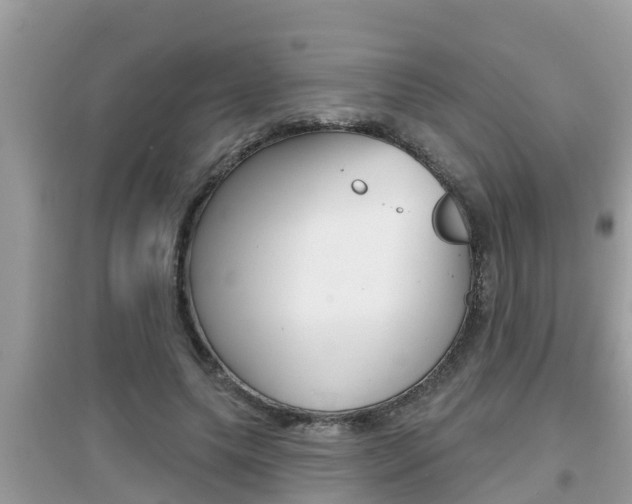 X0000095110639200712070920