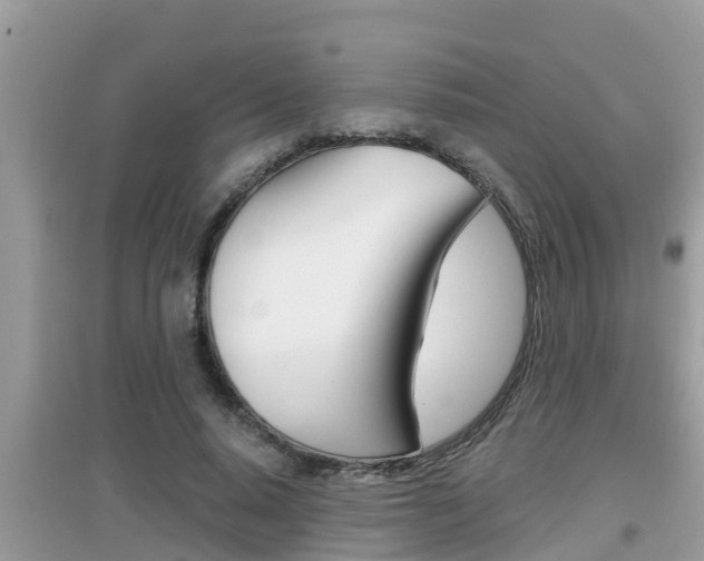 X0000095110640200712070920