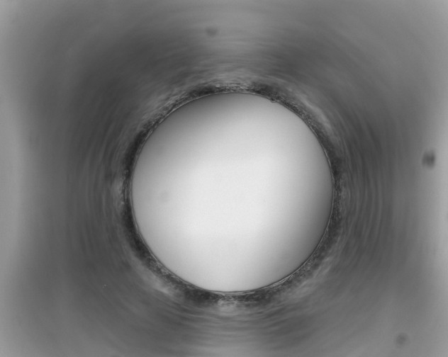 X0000095110641200712070920