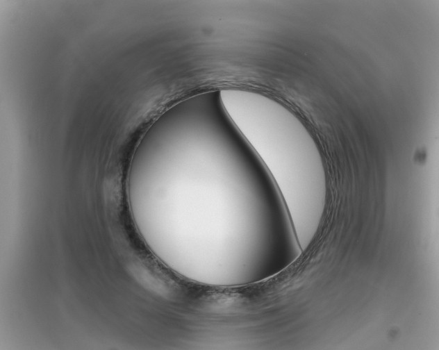 X0000095110642200712070920