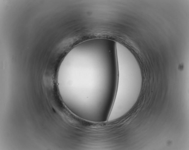 X0000095110644200712070920
