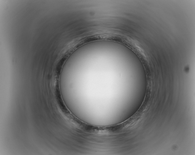 X0000095110645200712070920