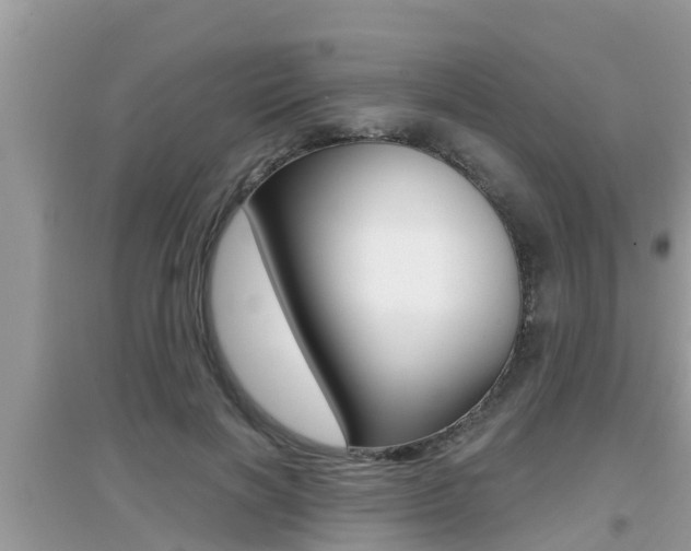X0000095110646200712070920