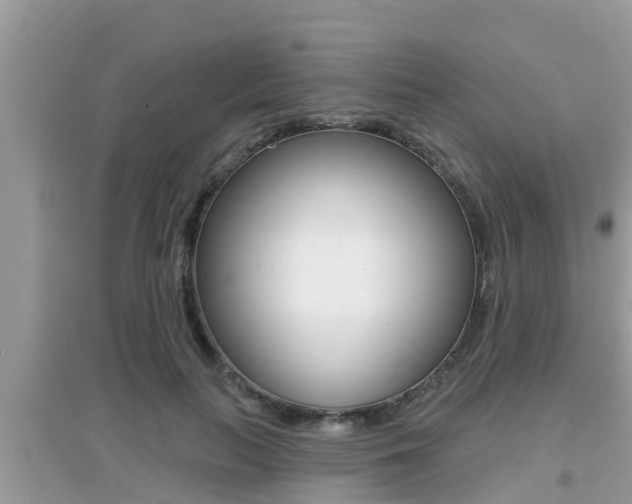 X0000095110647200712070920