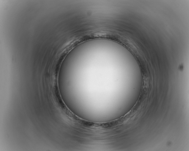 X0000095110648200712070920