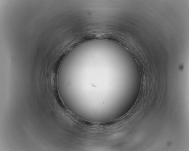 X0000095110650200712070920