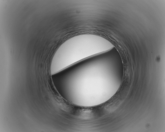 X0000095110651200712070920