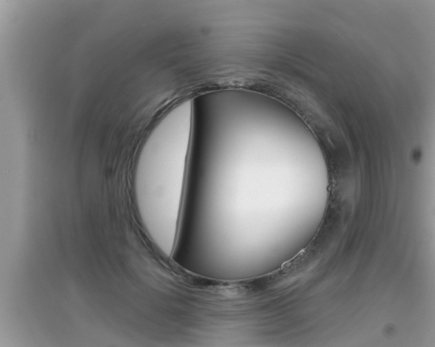 X0000095110652200712070920