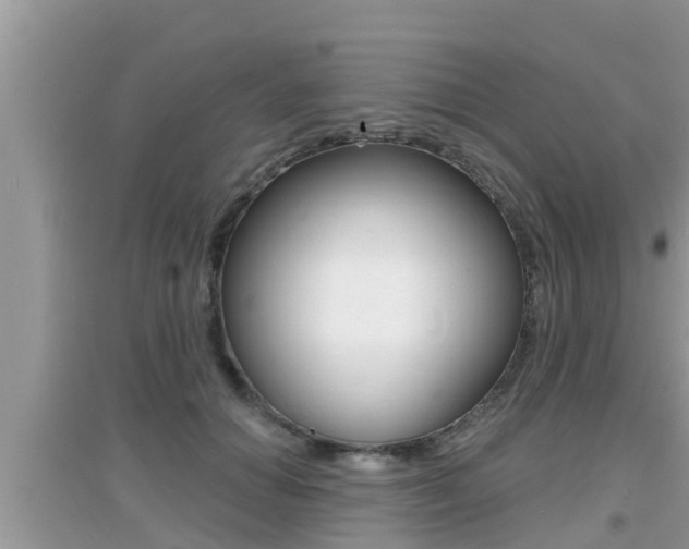 X0000095110654200712070920