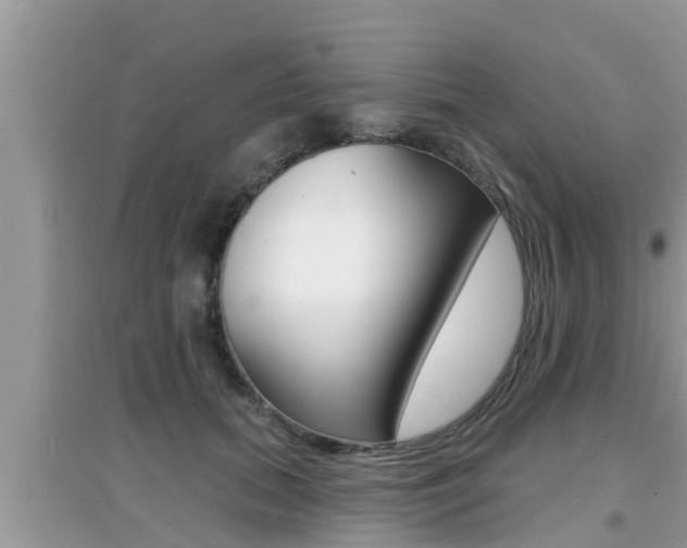 X0000095110655200712070920