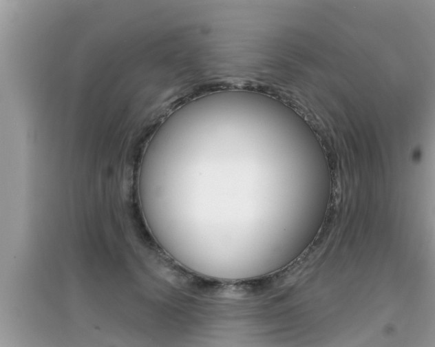 X0000095110656200712070920