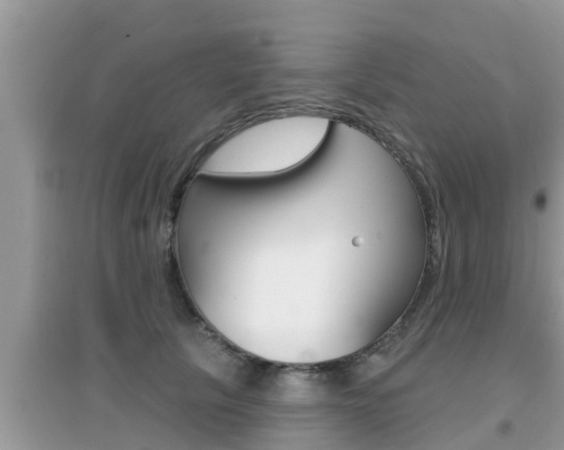 X0000095110657200712070920
