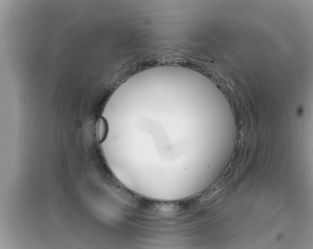 X0000095110659200712070920