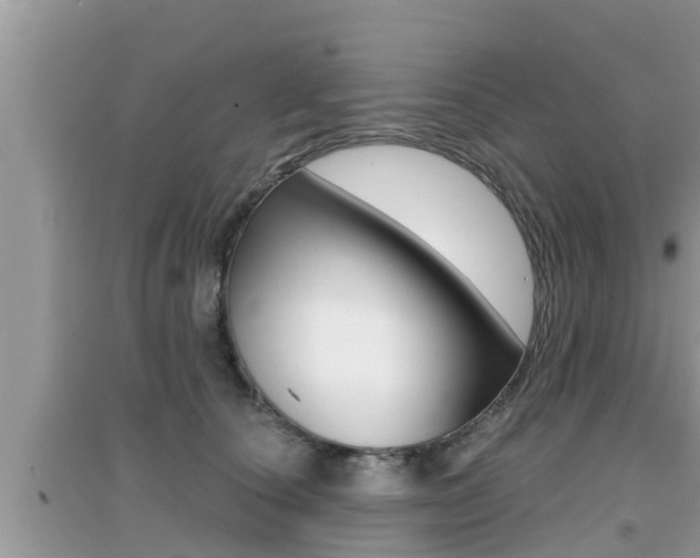 X0000095110660200712070920