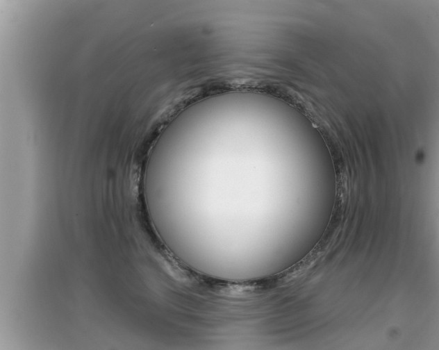 X0000095110664200712070920