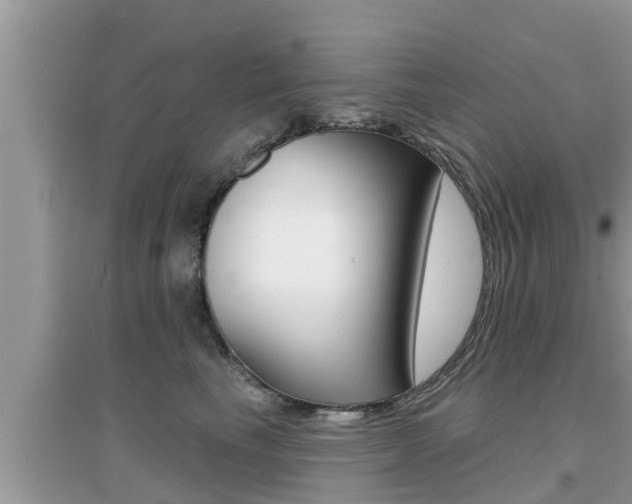 X0000095110665200712070920