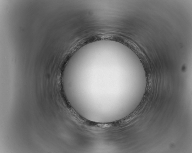 X0000095110667200712070921