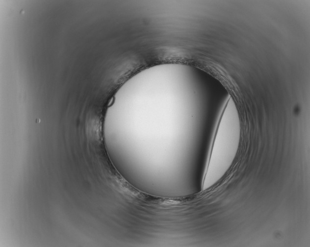 X0000095110669200712070921