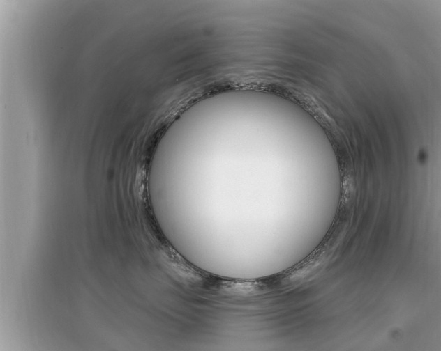 X0000095110671200712070921