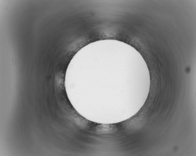 X0000095110672200712070921
