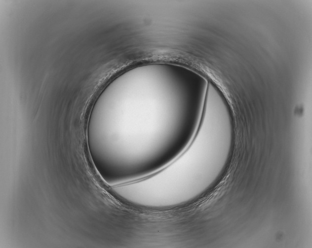 X0000095110673200712070920
