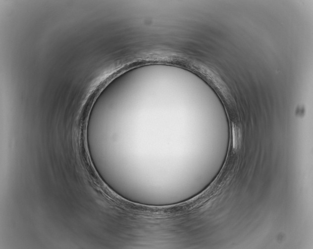 X0000095110675200712070920