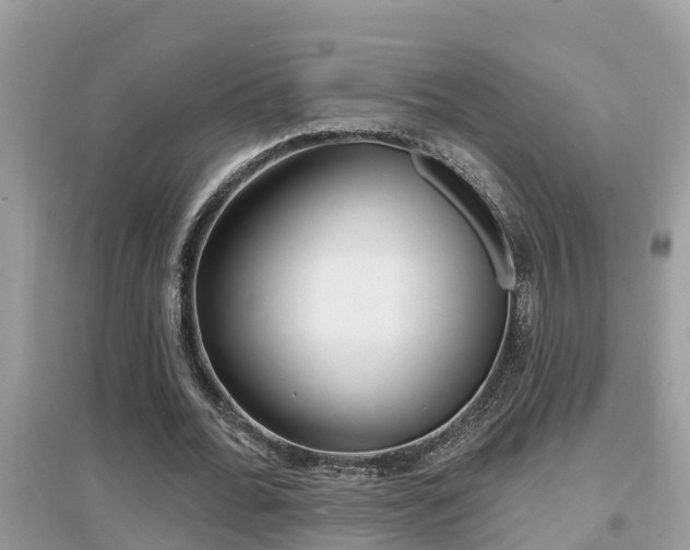 X0000095110676200712070920