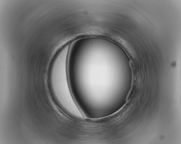 X0000095110677200712070920
