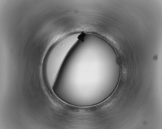 X0000095110678200712070920