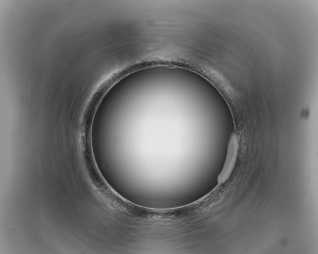 X0000095110680200712070920