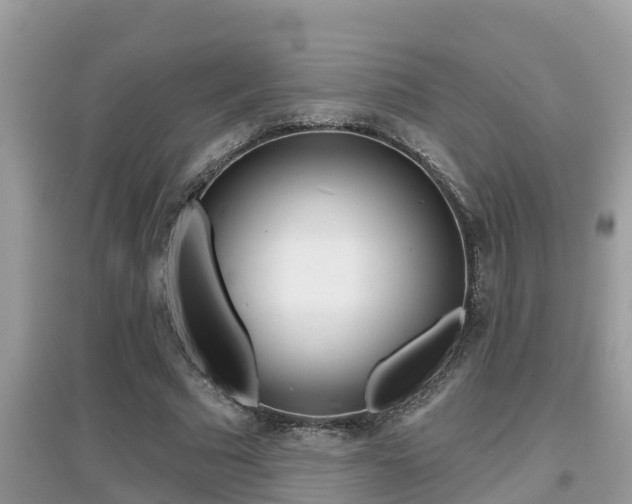 X0000095110681200712070920