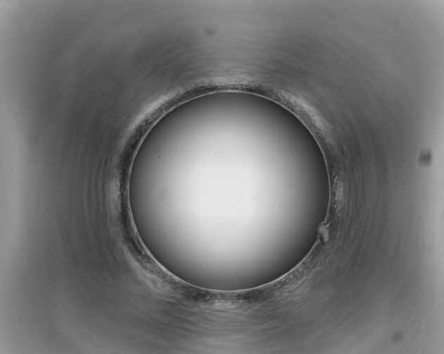 X0000095110684200712070920