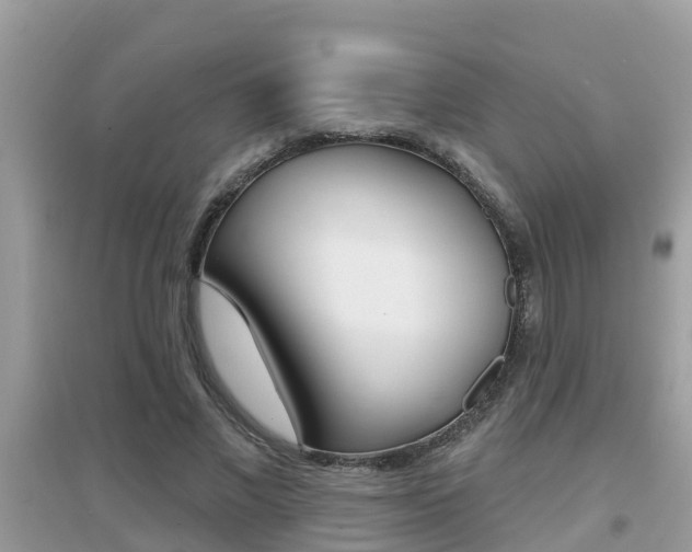 X0000095110685200712070920