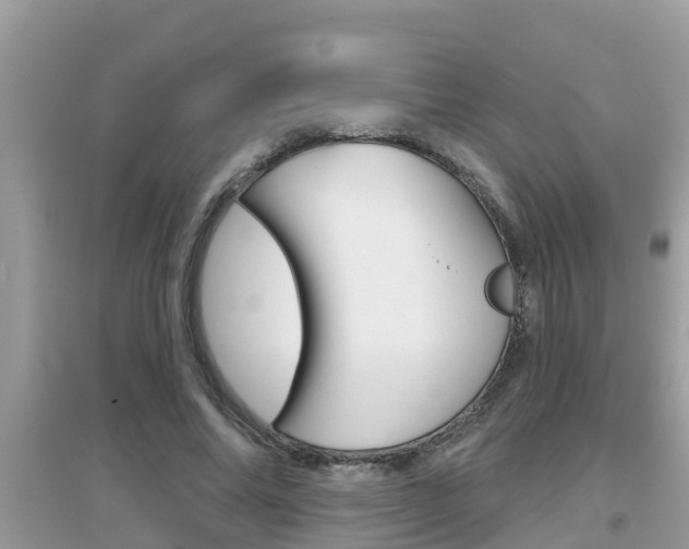 X0000095110686200712070920
