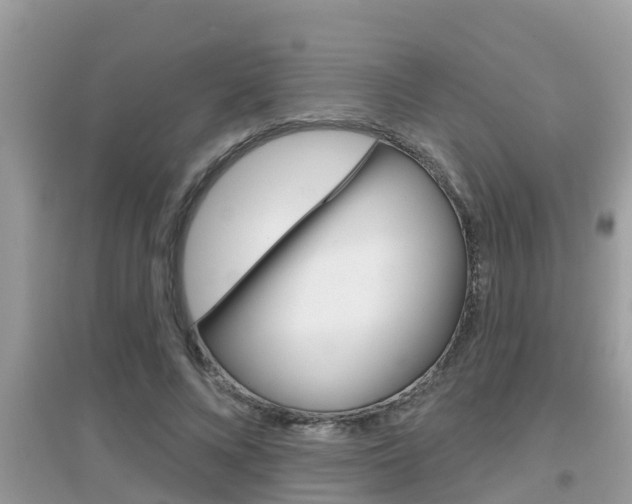 X0000095110688200712070920