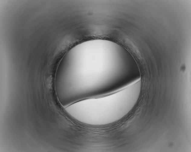 X0000095110689200712070920