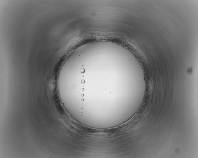 X0000095110691200712070920